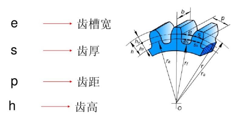齒輪齒槽寬等其它參數(shù)說(shuō)明